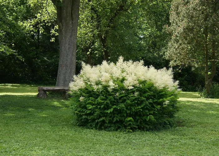 埃姆拉德乡村旅馆 3* 克罗嫩堡