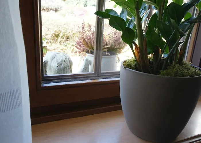 埃姆拉德乡村旅馆 招待所