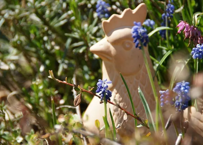 埃姆拉德乡村旅馆 招待所