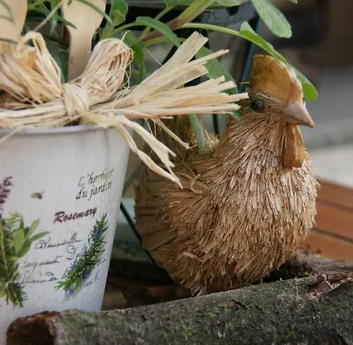 埃姆拉德乡村旅馆 3*