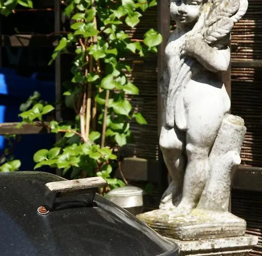 招待所 埃姆拉德乡村旅馆 3*